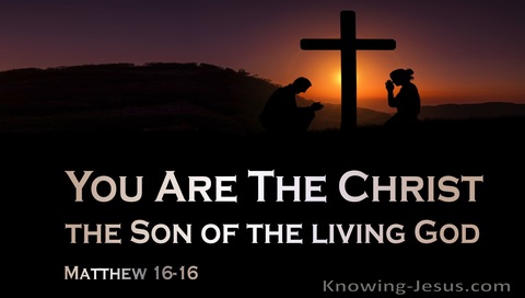 Matthew 16:16 You Are The Christ (orange)